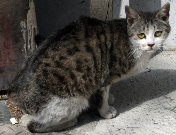 DSCF9231.JPG