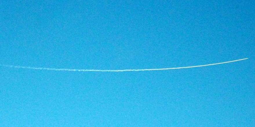 DSCF0384.JPG