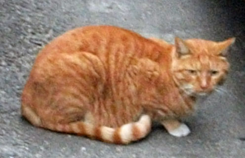 DSCF9144.JPG