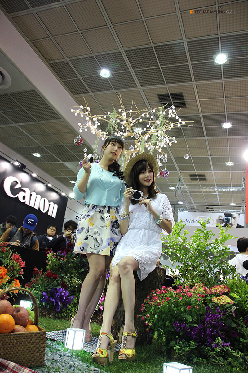 IMG_7285_s.jpg