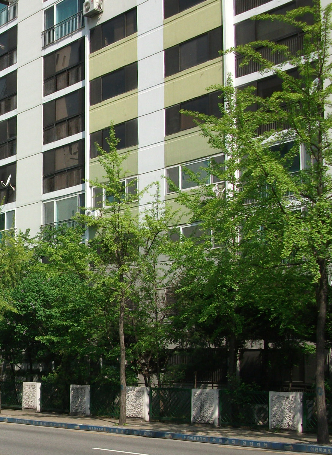 DSCF1848.JPG