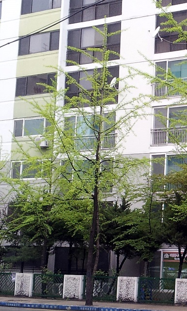 20150420_091507.jpg