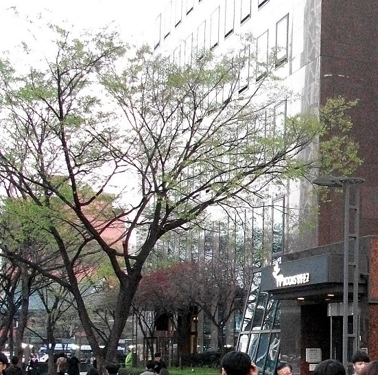 DSCF0895.JPG