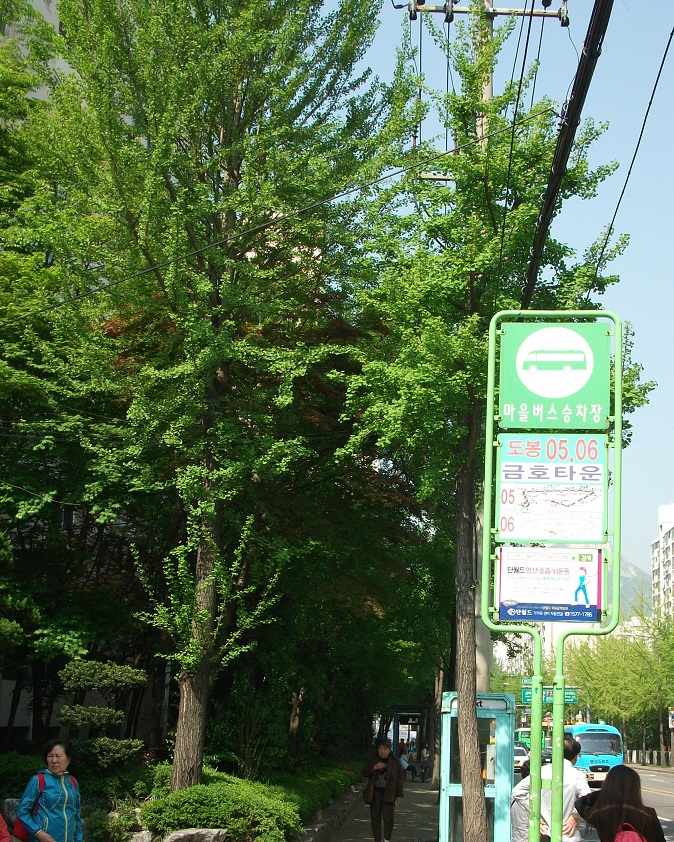DSCF1849.JPG