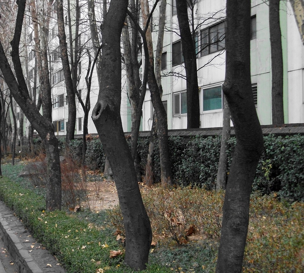 DSCF4779.JPG
