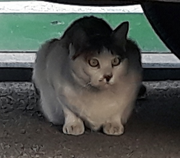 20190417_182107.jpg