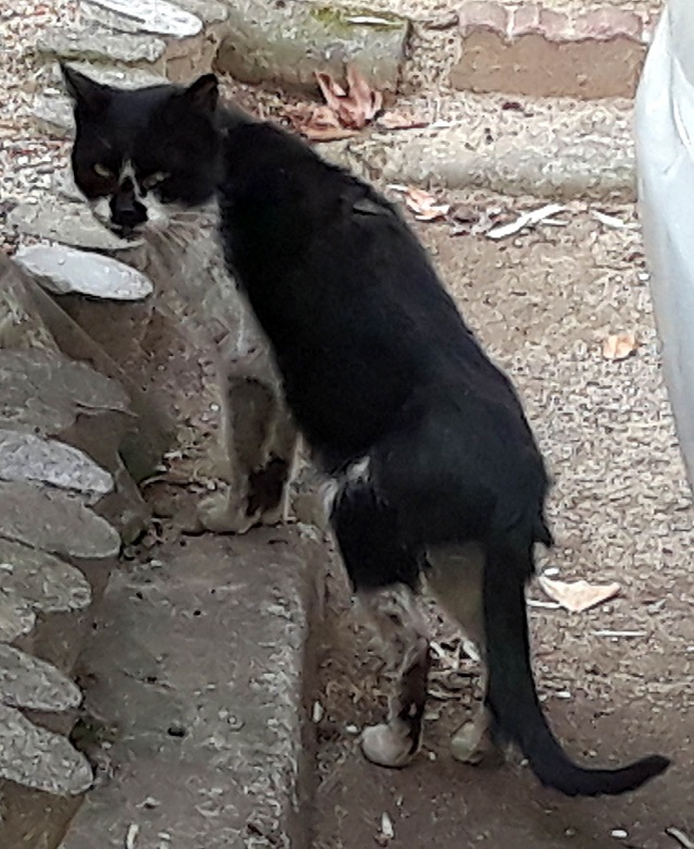 20190405_103406.jpg