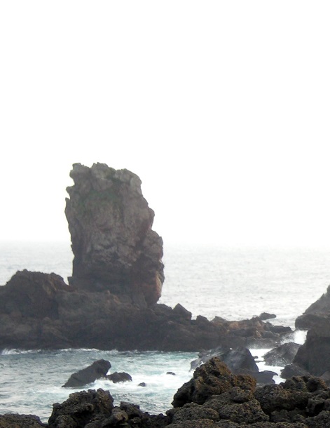 DSCN0606 - 복사본.JPG