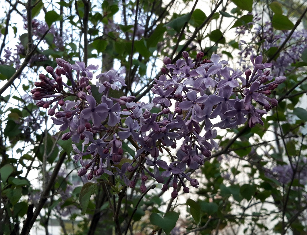 20190417_183434.jpg