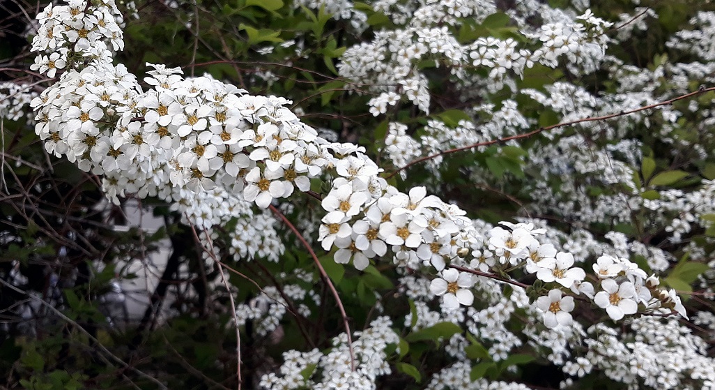 20190417_183622.jpg
