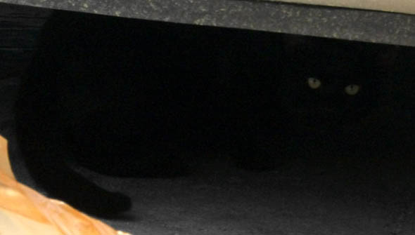 DSCF9886.JPG