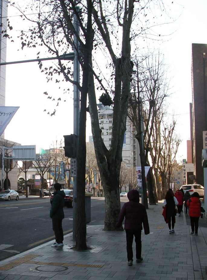 DSCF4575.JPG