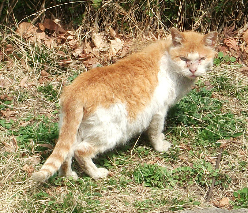 DSCF6607.JPG