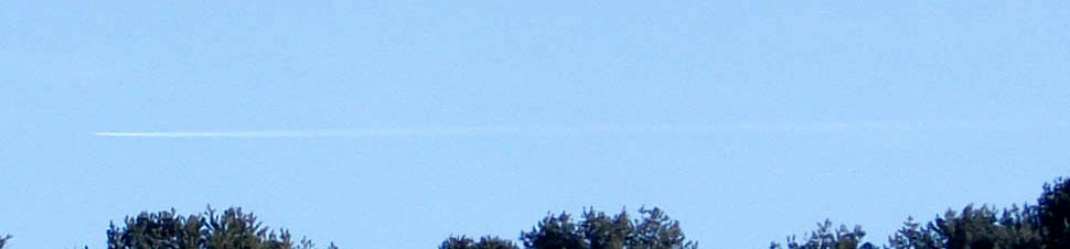DSCF3177.JPG