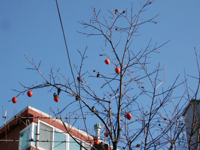 DSCF5856.JPG