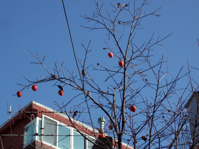 DSCF5855.JPG
