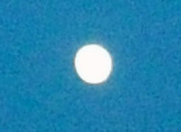 DSCF5891.JPG
