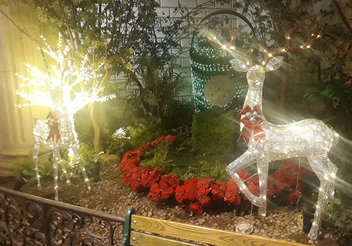 20201205_164633.jpg