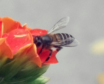 DSCF2709.JPG