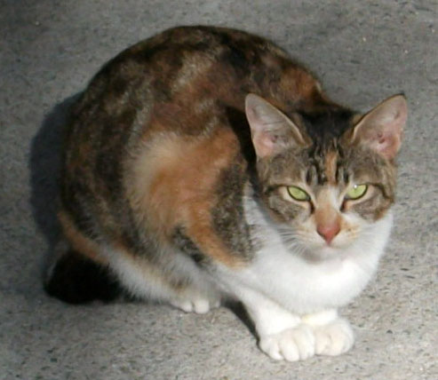 DSCF5864.JPG