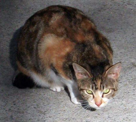 DSCF5865.JPG