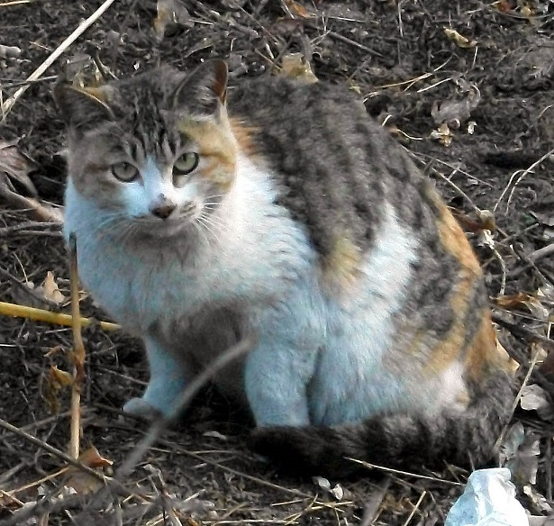 DSCF5790.JPG