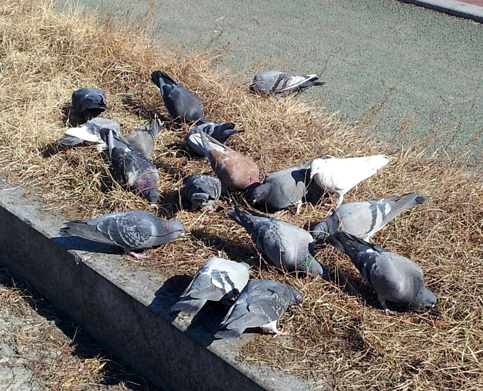 20170202_121835.jpg