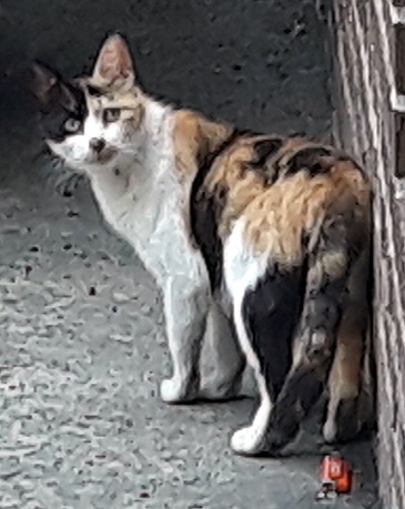 20180527_115657.jpg