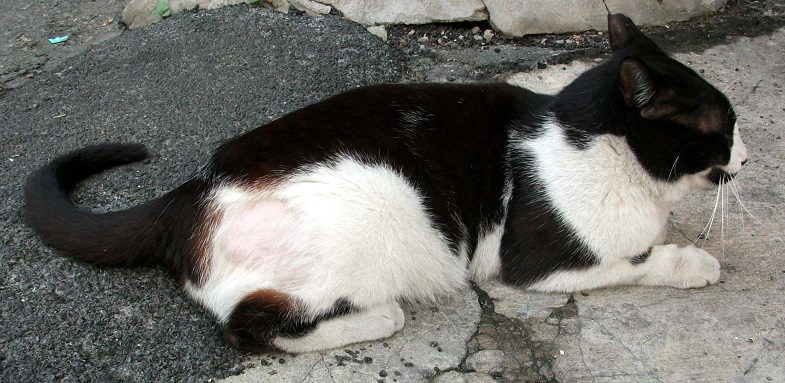 DSCF4599.JPG