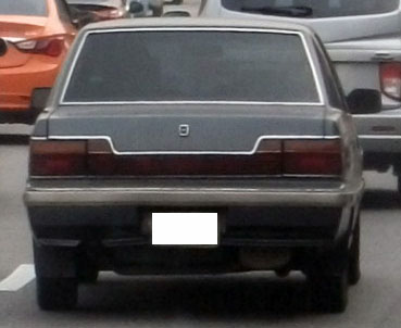 DSCF8509.JPG