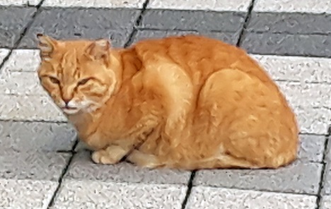 20200903_163432.jpg