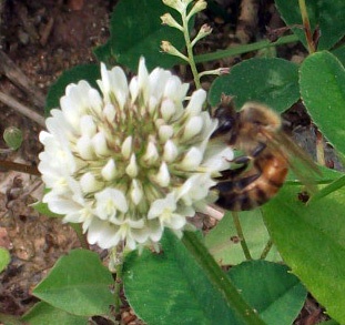 DSCF8845.JPG
