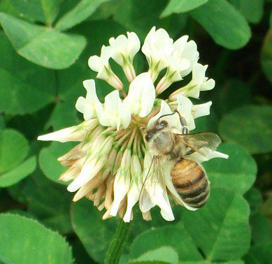 DSCF8849.JPG