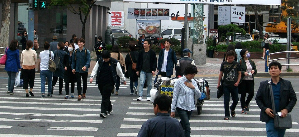 DSCF9510.JPG