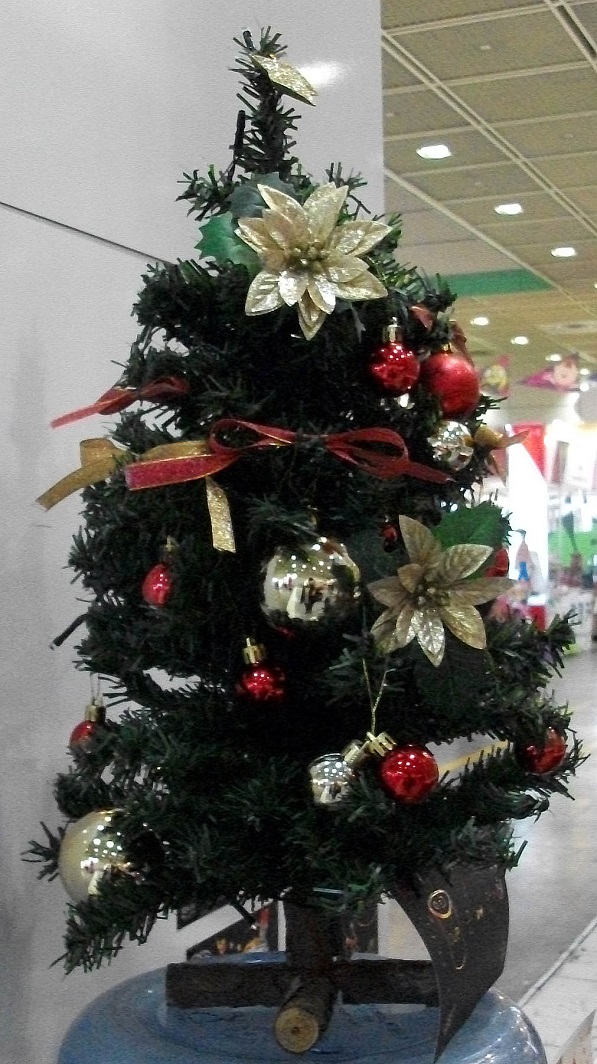 DSCF4369.JPG