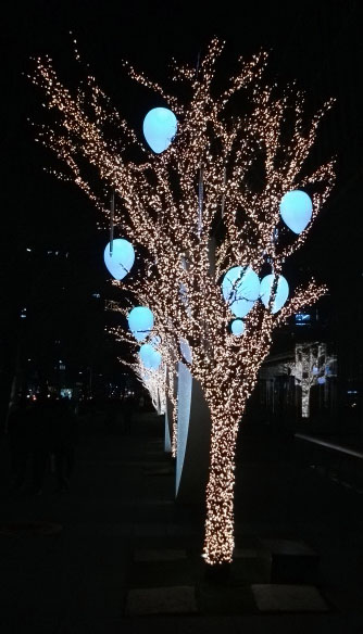DSCF7096.JPG