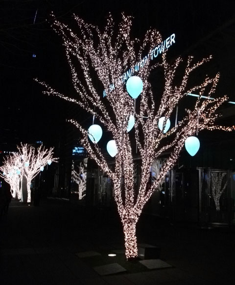 DSCF7098.JPG