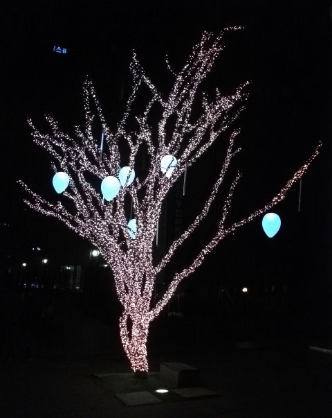 DSCF7101.JPG