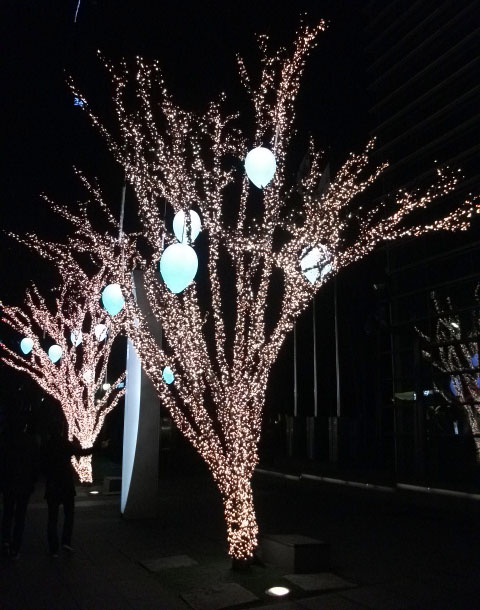 DSCF7100.JPG