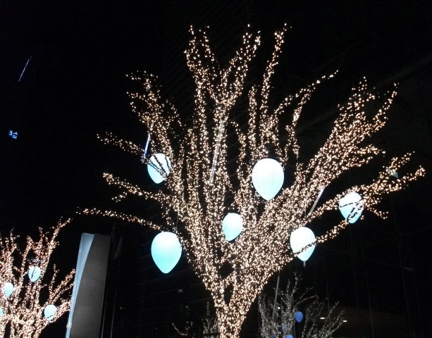DSCF7099.JPG