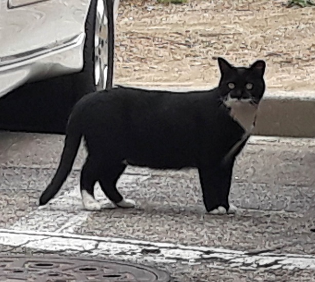 20180713_113454.jpg