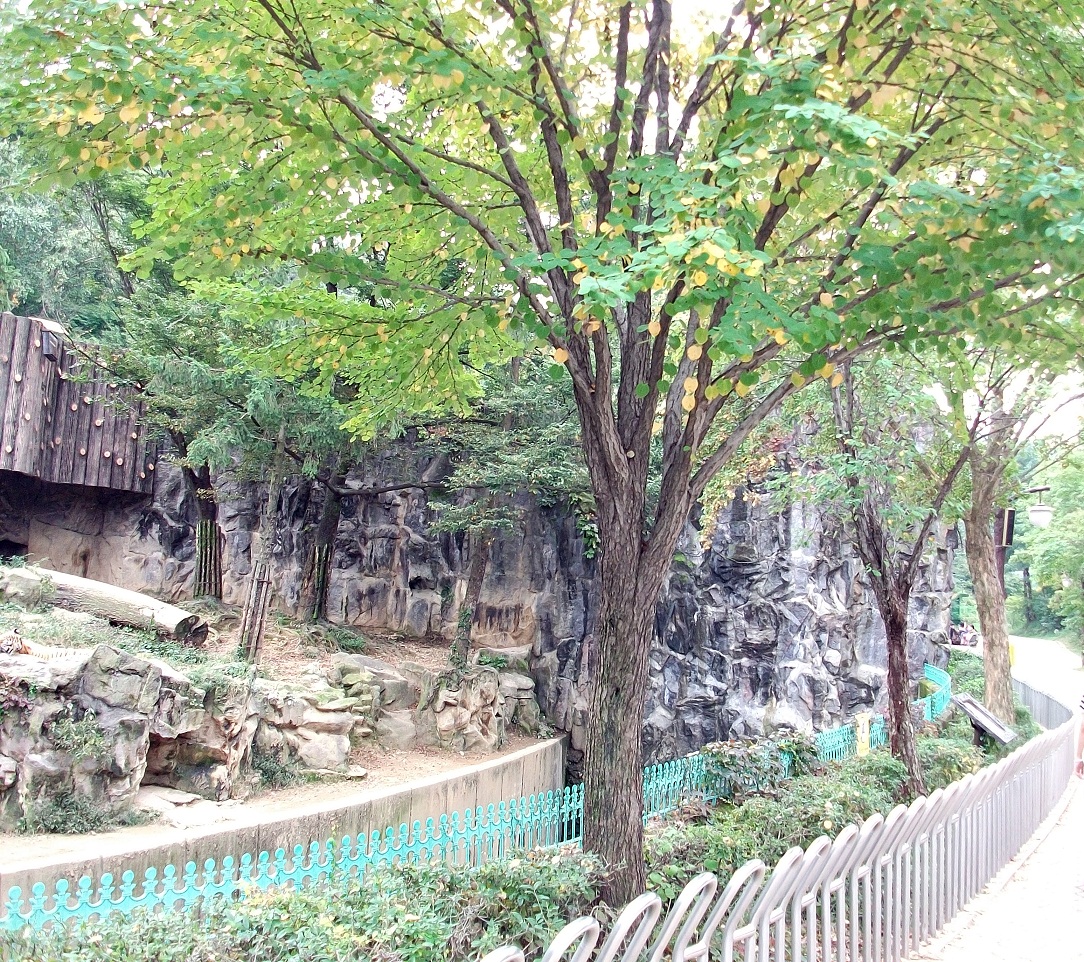 DSCF6380.JPG