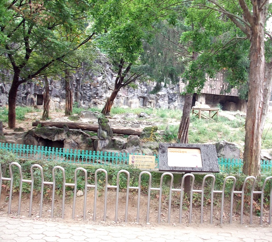 DSCF6379.JPG