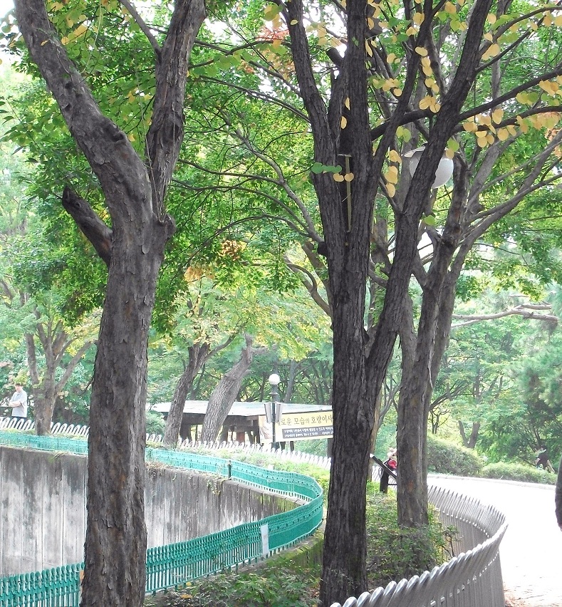 DSCF6373.JPG