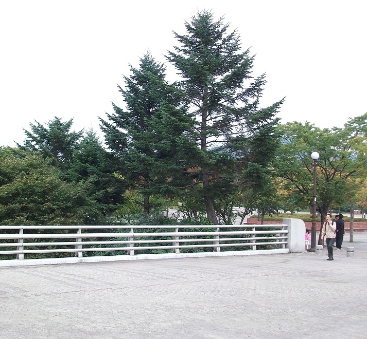 DSCF6383.JPG