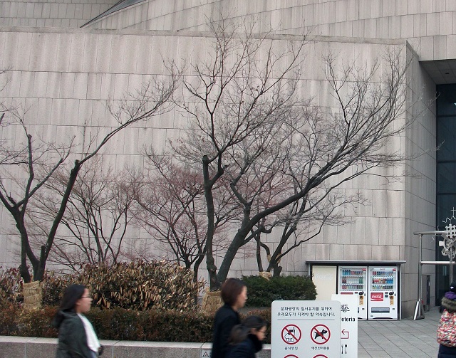 DSCF6852.JPG