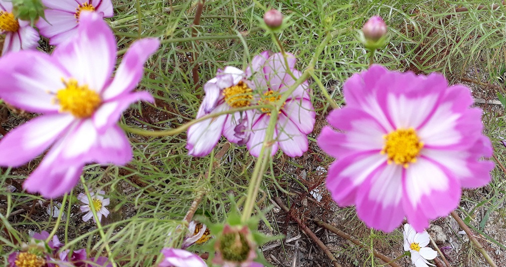 20181009_141332.jpg