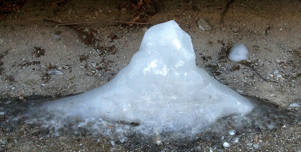 DSCF5230.JPG