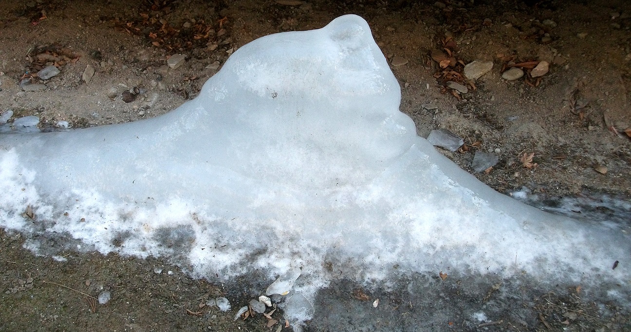 DSCF5232.JPG