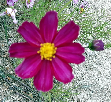 20181009_141357.jpg